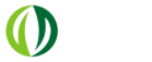 Znd-Fan